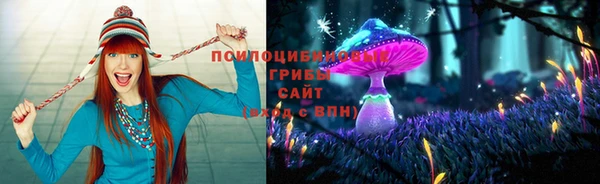 бутират Алексин