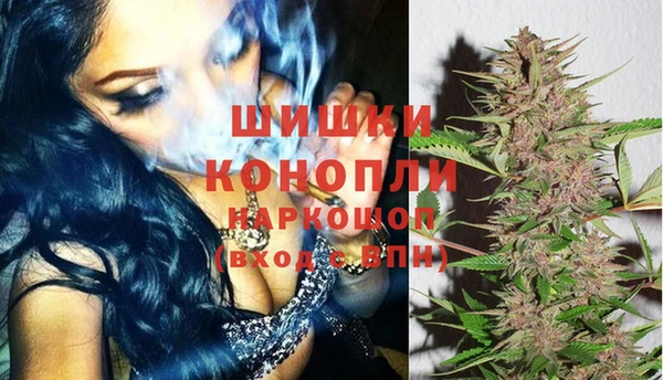 тгк Арсеньев