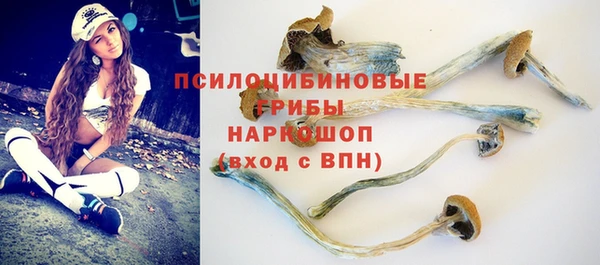 тгк Арсеньев